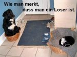 looser.jpg