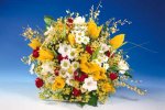 blumen11.jpg