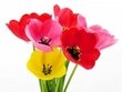 blumenstrauß.jpg