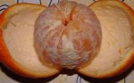 DSCF0013-2.jpg