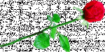 00002021.gif