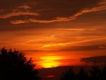 PICT0551-2.jpg