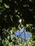 DSCF0593_3.jpg