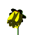 n_blu087.gif