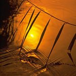 licht4k.jpg