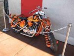 Tiger-Harley.jpg