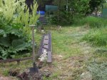 Garten 014.jpg