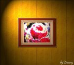 winterrose II kleiner.jpg