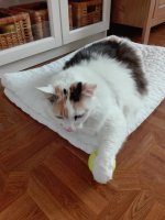 IMG_20180127_124819.jpg