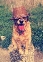 IMG_20191001_040540.jpg IMG_20191001_040540.jpg