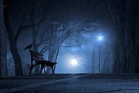 eyes-night-road-woman-crow-forest-mystic-gothic-spectral-thumbnail.jpg