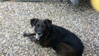 IMG-20160509-WA0018.jpg