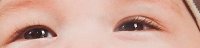 Augen freigestellt.jpg