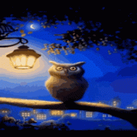 good-night-owl.gif good-night-owl.gif