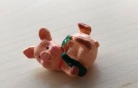 schwein.jpg