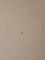 IMG_20220521_111832.jpg