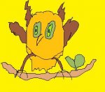 polgara.jpg
