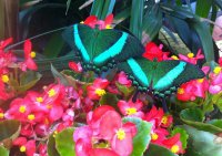 IMG_20221205_184747.jpg
