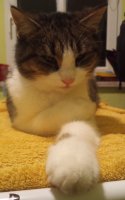 IMG_20221122_204242_727~2.jpg
