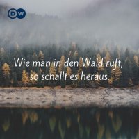 wald.jpg