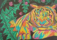 tiger.jpg