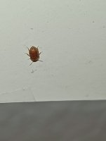 IMG20230407234938 (1).jpg