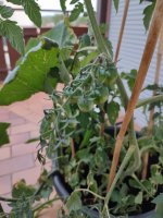 IMG_20230724_071857.jpg