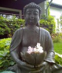 Buddha in the Garden.jpg