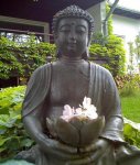 Buddha in the Garden.jpg