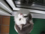 Mieze zu Besuch 005.jpg