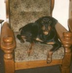 Tiere0022.jpg