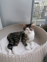 IMG_20230903_153142.jpg IMG_20230903_153142.jpg