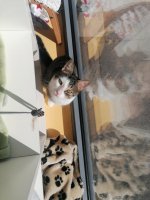 IMG_20230907_155229.jpg IMG_20230907_155229.jpg