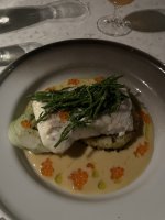 IMG_4750.jpeg