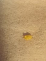 IMG_20231128_094200.jpg