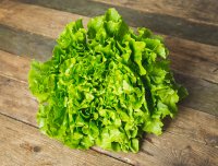 Endivien_Salat_glatt.jpg