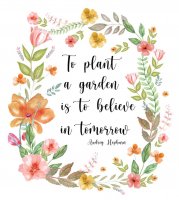 garden.JPG