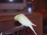 DSC00405.JPG DSC00405.JPG