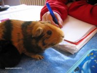 IMG_2323.JPG IMG_2323.JPG