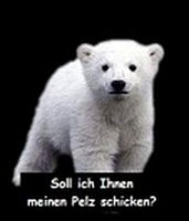 Bärchen pelzig mit Text - b.jpg