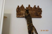 DSC04030.JPG