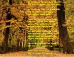 Herbstwald Gedicht.jpg