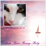 Ronny-Baby  31.12.2012.JPG