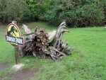 Baum Jurassic Park.jpg Baum Jurassic Park.jpg