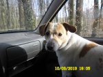 Frech von Russel II 001.jpg Frech von Russel II 001.jpg
