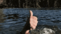 IMG_20240802_191638.gif