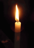 IMG_20240824_085429.gif IMG_20240824_085429.gif