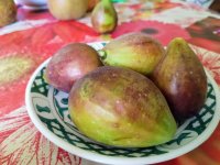 IMG_20240919_150449~2.jpg IMG_20240919_150449~2.jpg