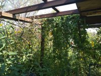 IMG_20240919_134657.jpg IMG_20240919_134657.jpg