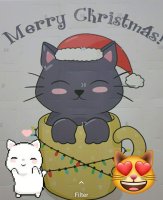 IMG_20241125_180513.jpg